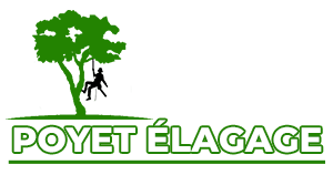 Elagueur-poyet-elagage